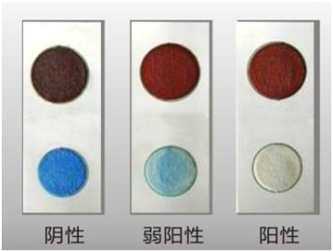 蔬菜中敌百虫、丙溴磷、灭多威等 5种农药残留快速检测方法 